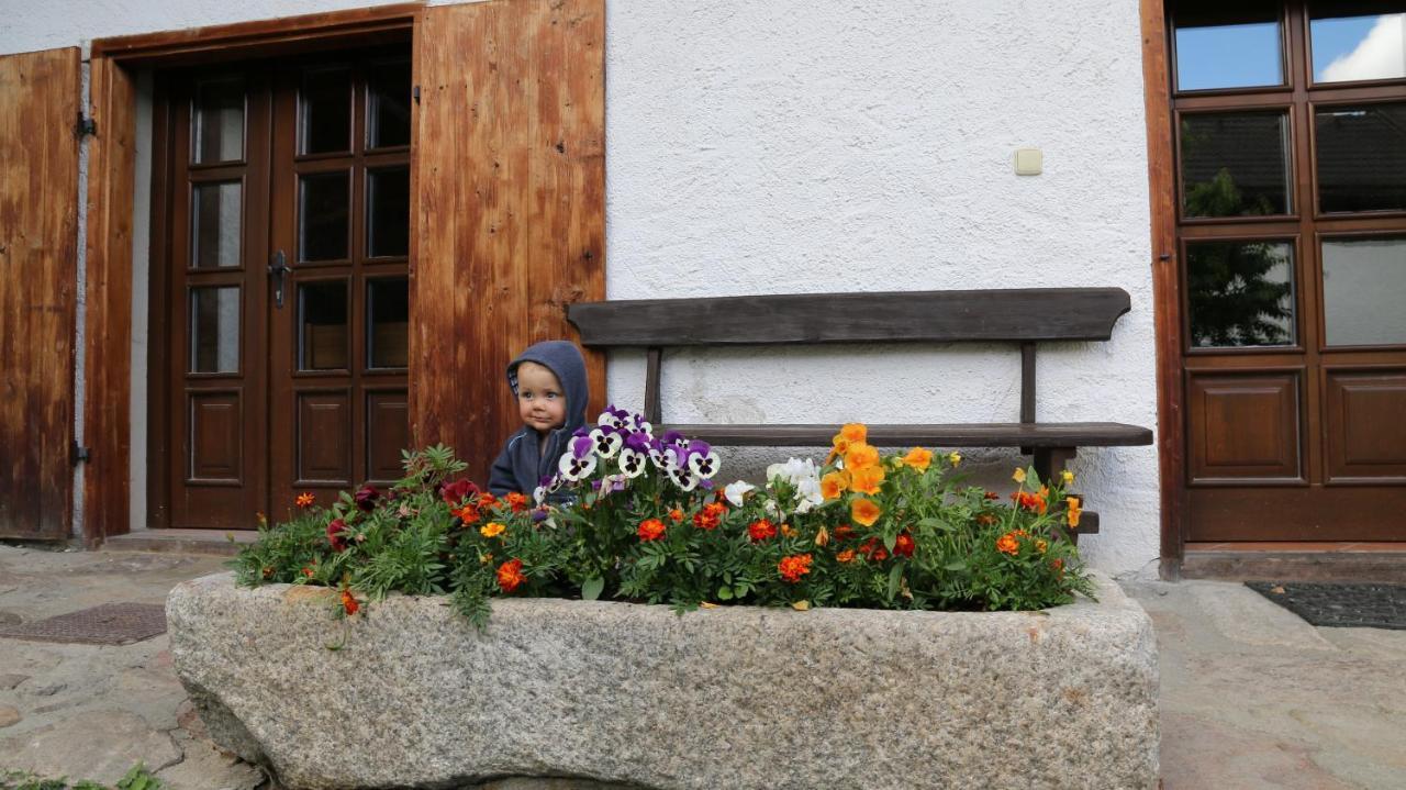 Penzion Mauritz Nová Pec Exterior photo
